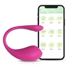 Vibratorius Egg APP Control