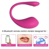 Vibratorius Egg APP Control