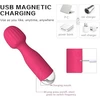 Vibratorius su USB įkrovimu