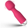 Vibratorius su USB įkrovimu