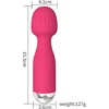 Vibratorius su USB įkrovimu
