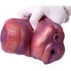 Vyrų masturbatorius Caveworm
