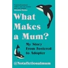 KNYGA a Fictional Mum, Not What Makes a Mum?: My Story From Fostered to Adopter