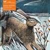 KNYGA Bookshop Adult Sustainable Jigsaw Puzzle: Angela Harding: Shooting Stars: 1000-pieces. Ethical, Sustainable, Earth-friendly