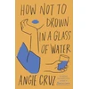 KNYGA Angie Cruz How Not to Drown in a Glass of Vanduo