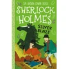 KNYGA Arthur Conan Doyle Sidabrinis Blaze (Easy Classics)