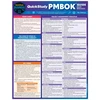 KNYGA Inc Barcharts Barcharts QuickStudy PMBOK Quick Reference Guide