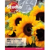 KNYGA Bell, Clive; Mclachlan, Anneli Studio AQA GCSE French Higher Student Book