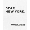 KNYGA Brandon Stanton Dear New York