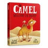 KNYGA Bright Rachel Camel Who Had The Hump Board Book