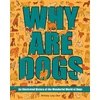 KNYGA Brittany Long Olsen Why Are Dogs