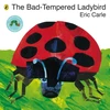 KNYGA Bookshop Carle Eric Bad-tempered Ladybird