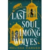 KNYGA Caruso Melissa Last Soul Among Wolves
