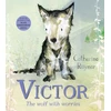 KNYGA Catherine Rayner Victor, the Wolf with Worries