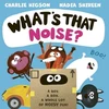 KNYGA Charlie Higson What's That Noise?