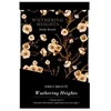 KNYGA Chiltern Publishing Wuthering Heights Gift Set
