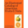 KNYGA Collection, US Department of Agriculture Pomological Watercolor Illustrated Catalog of American Fruits &amp; Nuts