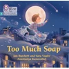 KNYGA Collins Big Cat Too Much Soap