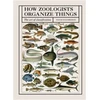 KNYGA David Bainbridge How Zoologists Organize Things, The art of classification
