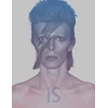 KNYGA Bookshop David Bowie Is