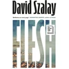 KNYGA David Szalay Mėsa