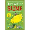 KNYGA David Walliams Glebės