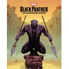 KNYGA Dennis Culver Juodas Panther: The Illustrated History