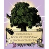 KNYGA deSandro, Patricia (Patricia deSandro) Bonadea'S Book of Everyday Enchantments