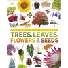 KNYGA DK Trees, Leaves, Flowers &amp; Seeds: A Visual Plant Encyclopedia for Kids