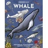 KNYGA Editors of Chartwell Books Inside Out Whale: Discover the World's Biggest, Smartest Swimmers