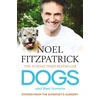 KNYGA Fitzpatrick, Noel Dogs and Their Humans: Stories of and Hope from the Supervet's Surgery