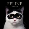 KNYGA Flach, Tim Feline: Photographs
