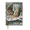 KNYGA Flame Tree Studio Angela Harding: Marsh Owl (Foiled Journal)