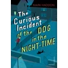 KNYGA Haddon, Mark Curious Incident of the Dog in the Night-time: Vintage Children's Classics