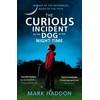 KNYGA Haddon, Mark Curious Incident of the Dog in the Night-time