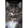 KNYGA Hoxton Mini Press New Photography of the Cat., The best new photography of cats.