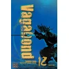 KNYGA Inoue Takehiko Vagabond (VIZBIG Edition), Vol. 12