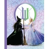 KNYGA Insight Editions Wicked: Friends For Good Lock &amp; Key Diary