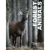 KNYGA Julianna Photopoulos Forest Animals