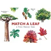 KNYGA Kirkham, Tony Match a Leaf: A Tree Memory Game
