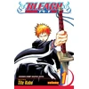 KNYGA Kubo, Tite Bleach, Vol. 1: Strawberry and the Soul Reapers
