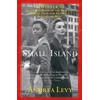 KNYGA Levy Andrea Small Island: Winner of the 'best of the best' Oranžinis Prize