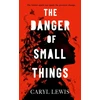 KNYGA Lewis, Caryl Danger of Small Things: The YA debut from an award-winning and bestselling Welsh storyteller