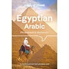 KNYGA Lonely Planet Egyptian Arabic Phrasebook &amp; Dictionary