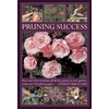 KNYGA Mikolajski, Andrew Pruning Success