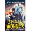 KNYGA Montgomery Ross Small Wonder, The hotly anticipated new novel from award-winning Ross Montgomery, winner of Waterstones Children’s Book of the Year 2024 – fantasy adventure perfect for ages 9, 10, 11, 12