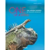 KNYGA Nature Picture Library One of a Kind, The Unique World of Island Animals
