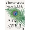 KNYGA Ngozi Adichie Chimamanda Americanah
