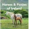 KNYGA O'Connor, Sarah Horses and Ponies of Ireland