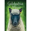 KNYGA Bookshop Olson Grace Galahad finds his Voice